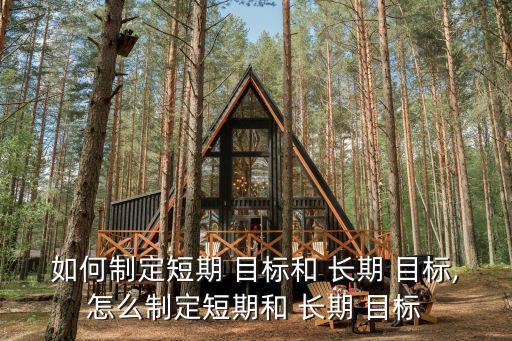 長期目標,長期目標的定義