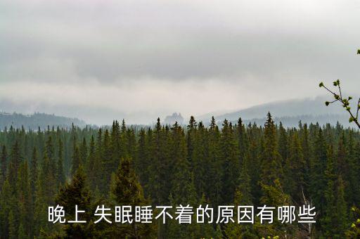  晚上 失眠睡不著的原因有哪些