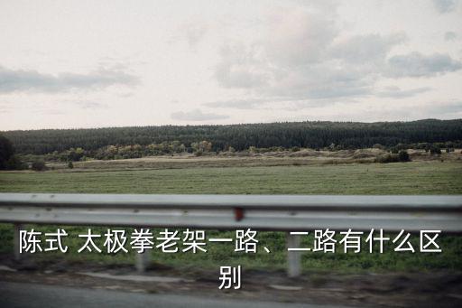陳氏小架太極拳,陳氏14陳長(zhǎng)興傳統(tǒng)太極拳一路二路