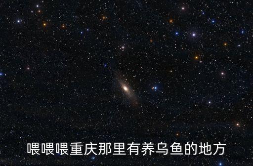 喂喂喂重慶那里有養(yǎng)烏魚的地方