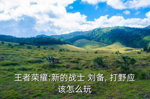 劉備打野,首先建議吸血加滲透前期可為劉備帶來更大生存空間