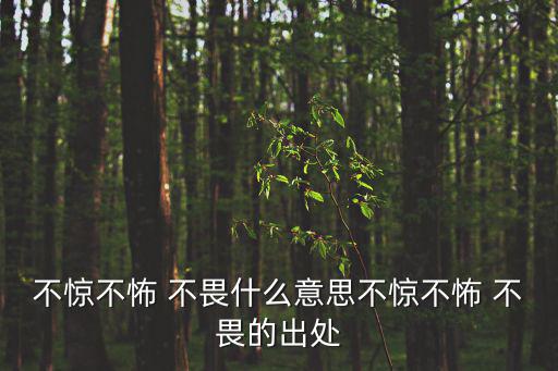 不驚不怖 不畏什么意思不驚不怖 不畏的出處