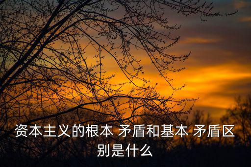 根本矛盾,資本主義社會(huì)矛盾與問(wèn)題