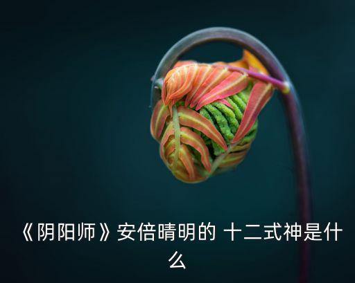 十二式神,日本陰陽師安倍昭惠身份被神秘化衍生許多傳奇故事