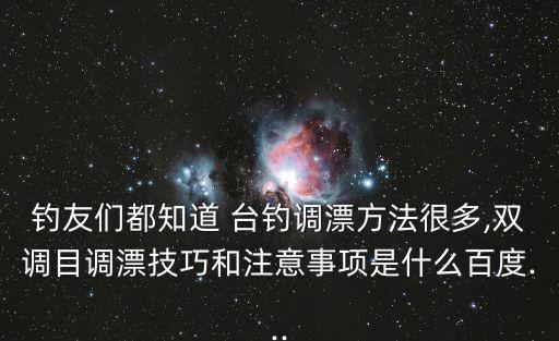 釣友們都知道 臺釣調漂方法很多,雙調目調漂技巧和注意事項是什么百度...