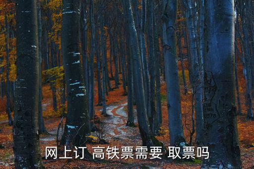 高鐵需要取票嗎,用二代身份證訂票網上購票可直接上車無需取票