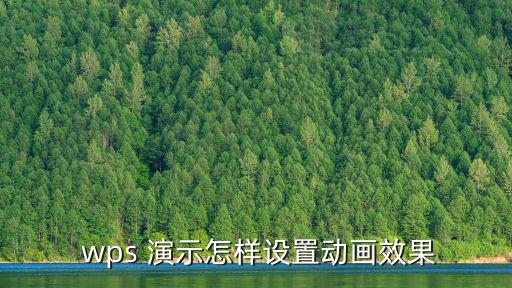  wps 演示怎樣設置動畫效果