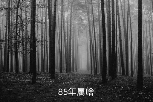 1985年屬什么生肖,牛年出生年份:1985年屬牛
