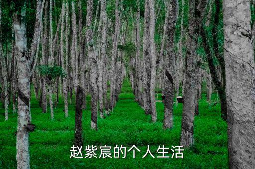 趙紫宸的個人生活