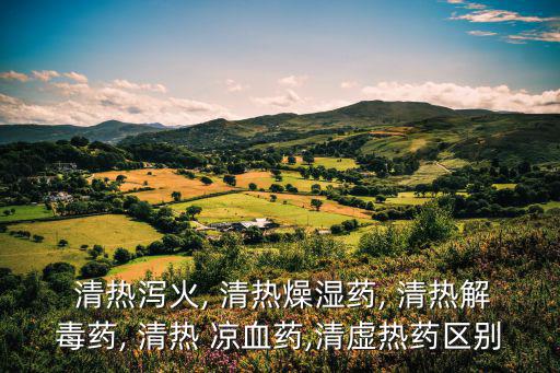 清熱涼血,涼血止血法治療病熱癥狀