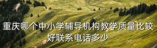 重慶哪個中小學輔導機構教學質量比較好聯系電話多少