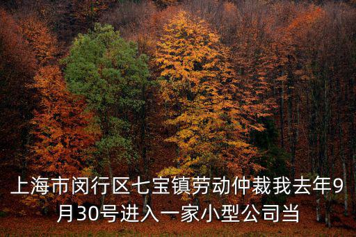 七寶勞動仲裁在哪里，閔行七寶勞動局在哪