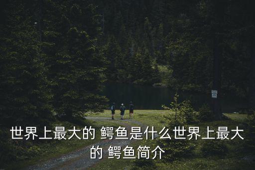 世界上最大的 鱷魚是什么世界上最大的 鱷魚簡介