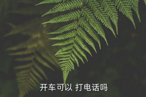  開車可以 打電話嗎