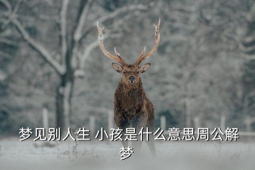  夢見別人生 小孩是什么意思周公解夢