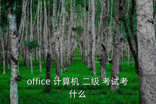 office 計算機 二級 考試考什么