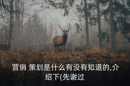 什么是營銷策劃,大盤營銷策劃是什么?