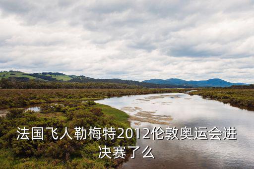 法國飛人勒梅特2012倫敦奧運會進決賽了么