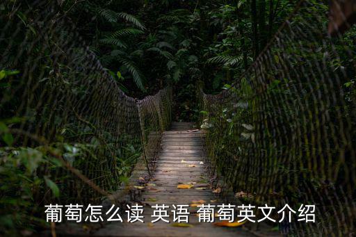  葡萄怎么讀 英語 葡萄英文介紹