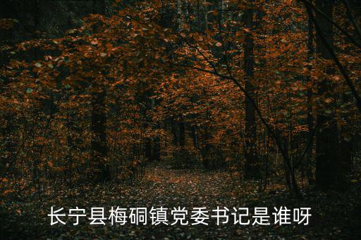 長寧縣梅硐鎮黨委書記是誰呀