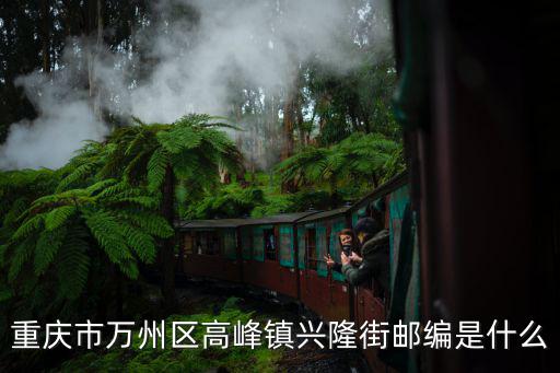 重慶市萬州區經開區高峰小學，重慶市萬州區高峰鎮興隆街郵編是什么