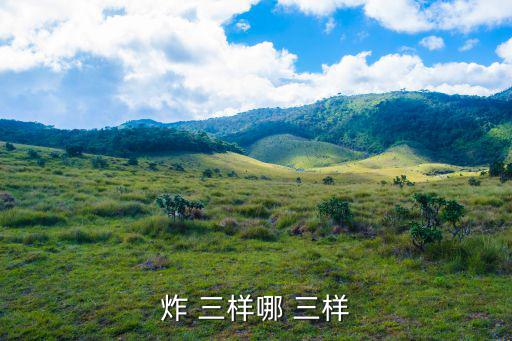 炸三樣的做法,東北菜里脊豬肉連體雞冠油大腸上的豬油