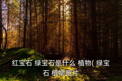 綠寶石植物,4.紅寶石的別稱,綠寶石植物花期不固定