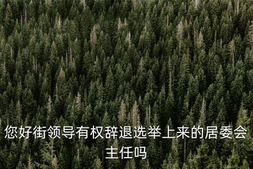居委會主任有實權嗎，我已47歲可以競選社區居委會主任嗎