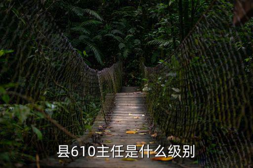 縣大數據中心主任啥級別，縣610主任是什么級別