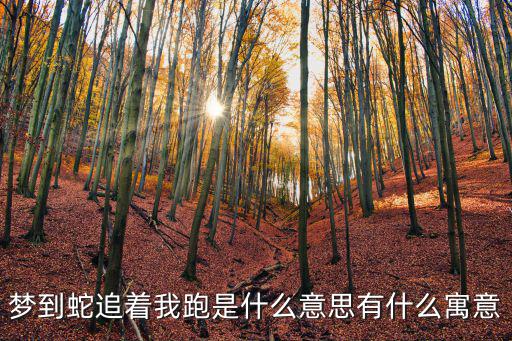 夢到蛇追著我跑是什么意思有什么寓意