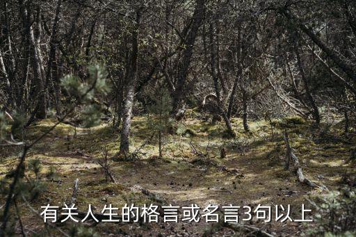 有關人生的格言或名言3句以上
