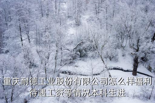 重慶耐德工業股份有限公司怎么樣福利待遇工資等情況本科生進