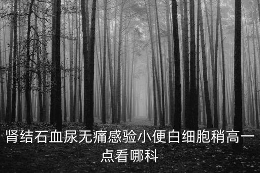 上海市第一人民醫(yī)院腎內(nèi)科，上海第一人民醫(yī)院