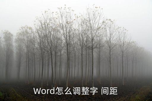 Word怎么調(diào)整字 間距