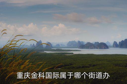 重慶金科國際屬于哪個街道辦