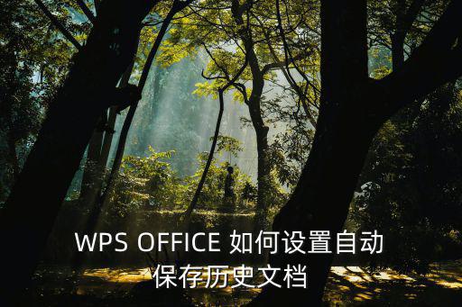 WPS OFFICE 如何設(shè)置自動(dòng)保存歷史文檔