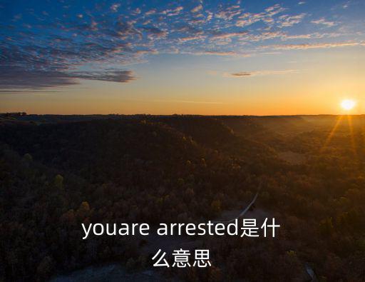 youare arrested是什么意思