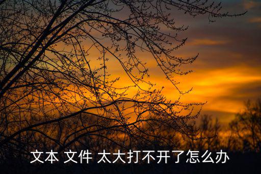 文本 文件 太大打不開了怎么辦