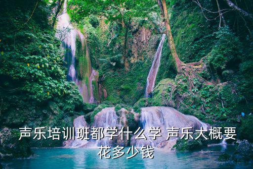 聲樂學(xué)什么,美聲唱法流行唱法等歌曲填補空白
