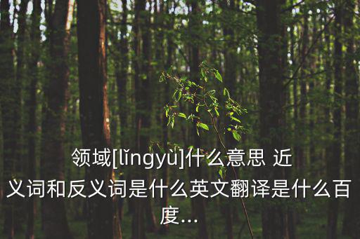 領(lǐng)域近義詞,領(lǐng)域是什么?