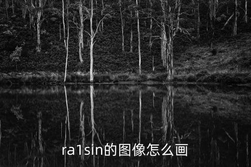 ra1sin的圖像怎么畫