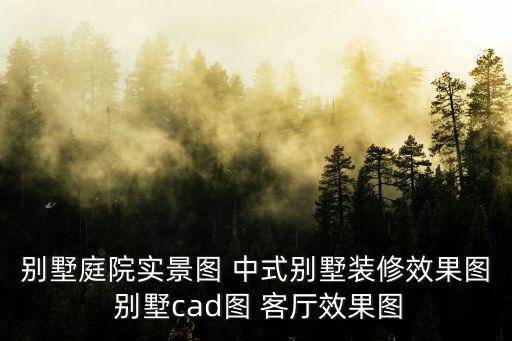 別墅庭院實景圖 中式別墅裝修效果圖 別墅cad圖 客廳效果圖