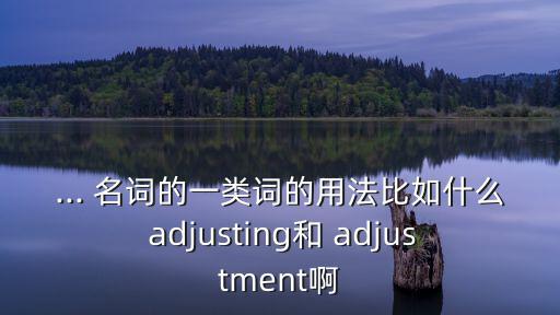 ... 名詞的一類詞的用法比如什么 adjusting和 adjustment啊