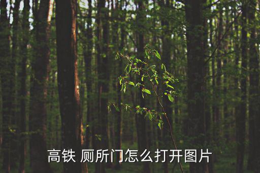 高鐵 廁所門怎么打開圖片