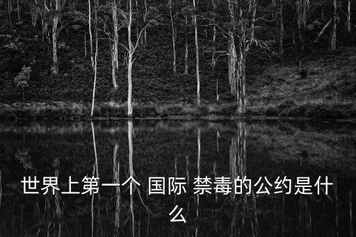 世界上第一個(gè) 國際 禁毒的公約是什么