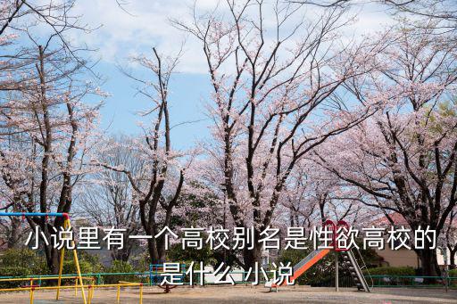  小說里有一個(gè)高校別名是性欲高校的是什么 小說