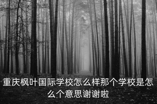 重慶市梁平楓葉國際學校宿舍，重慶楓葉國際學校好不好