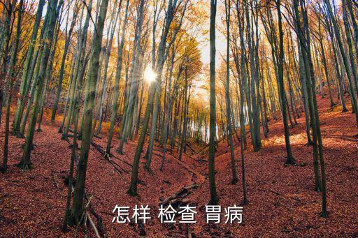 怎樣 檢查 胃病