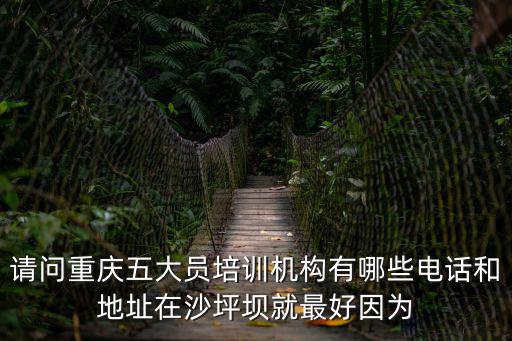 重慶市收納師培訓，重慶會計培訓會計師培訓 會計證初中高級會計師注冊會計師