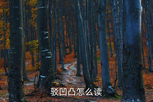 駁凹凸怎么讀